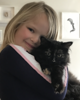 Stella og (N) CarilloCat Bebabelula